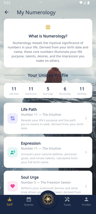 True North app - human design view